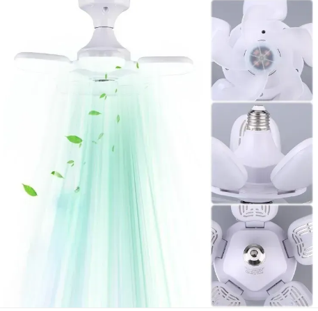 22280406-0083-11f0-8621-dee18ff4e8c0_2