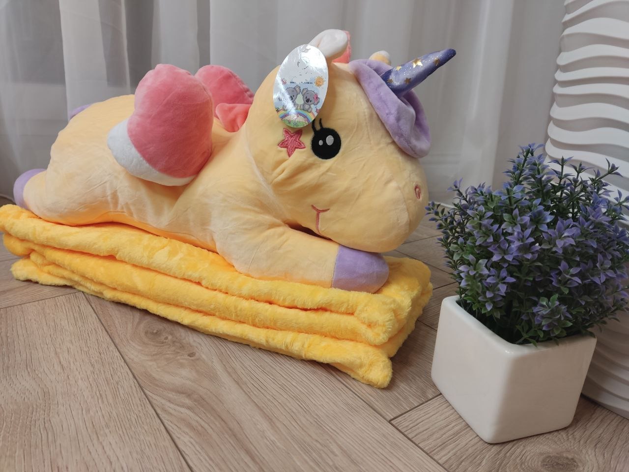 421c582f-622b-11ee-ad21-166b0be12ee5_2