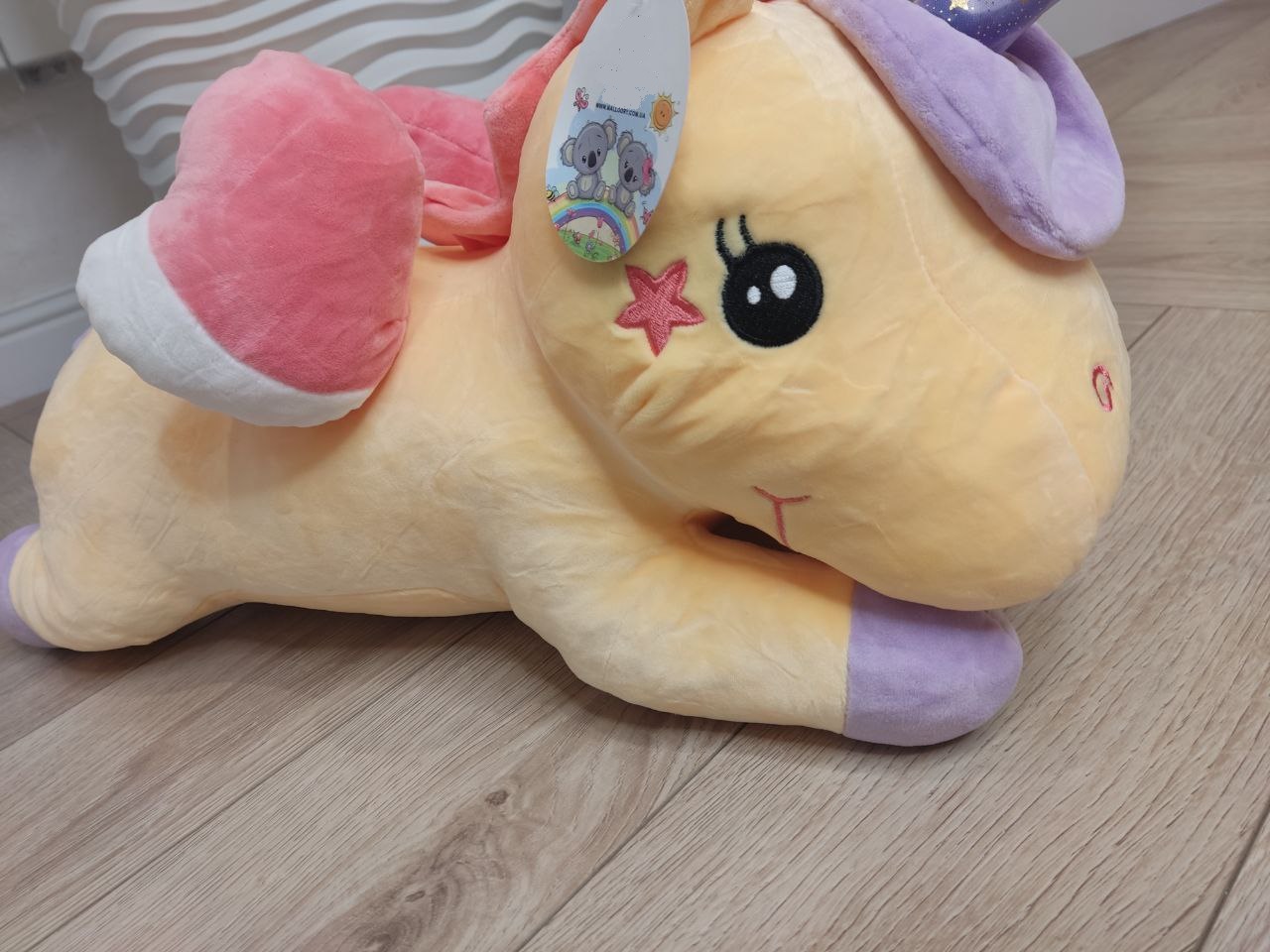 421c582f-622b-11ee-ad21-166b0be12ee5_4