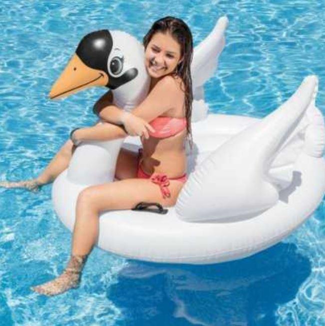 433ba41a-d8cc-11eb-ac26-166b0be12ee5_2