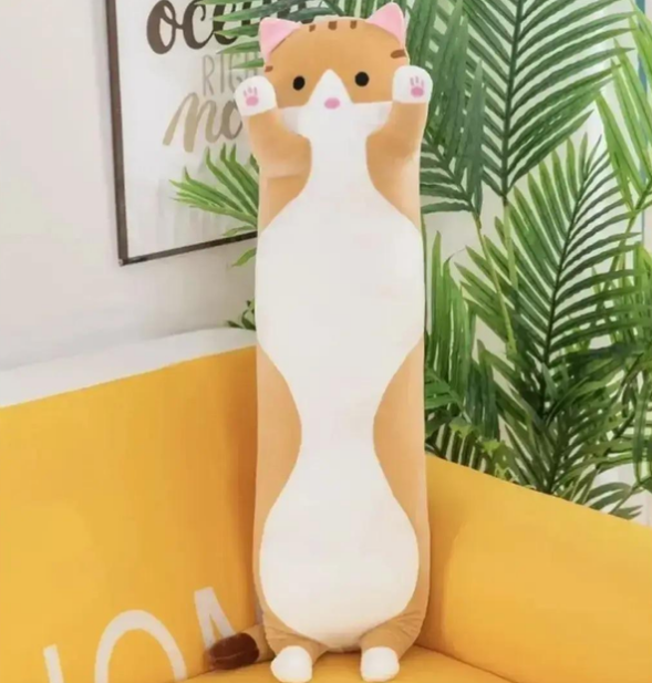 566bc46e-bac8-11ef-8621-dee18ff4e8c0_2