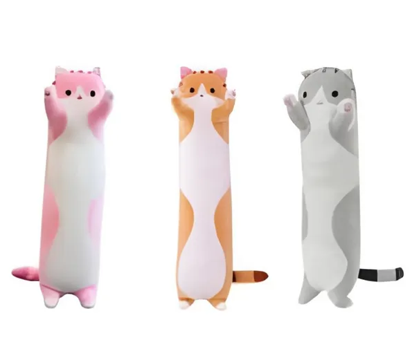 566bc475-bac8-11ef-8621-dee18ff4e8c0_2