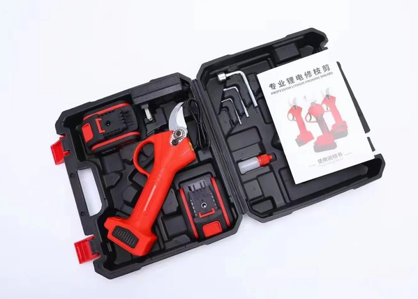 6484efc9-2e97-11f0-8622-dee18ff4e8c0_2