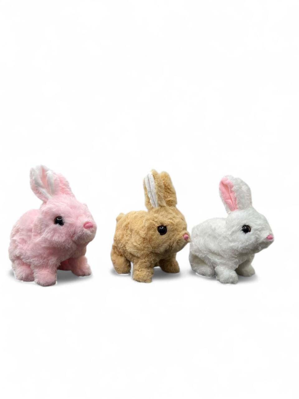 99681695-4392-11f0-8622-dee18ff4e8c0_2