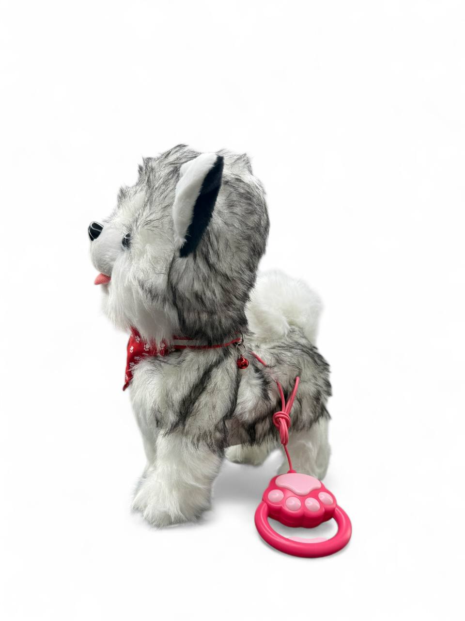 996816a0-4392-11f0-8622-dee18ff4e8c0_2