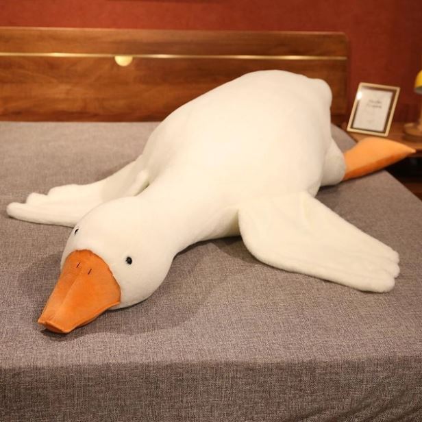 c4f970cf-5669-11ee-ad1b-166b0be12ee5_1