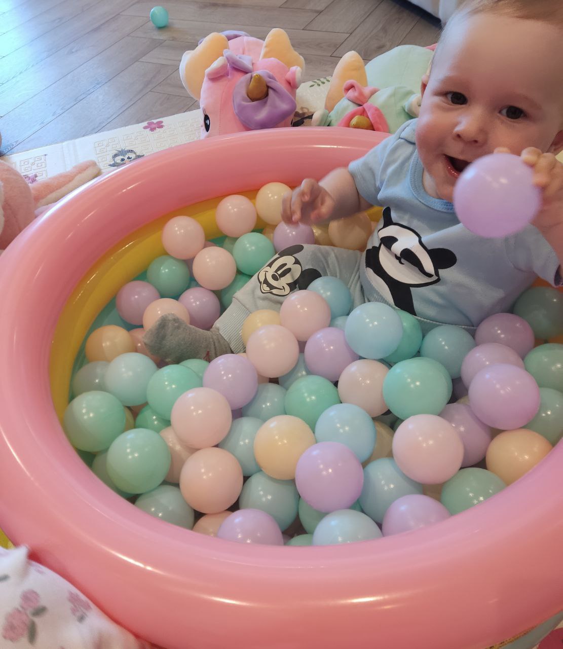 c5ed0700-24b7-11f0-8622-dee18ff4e8c0_2