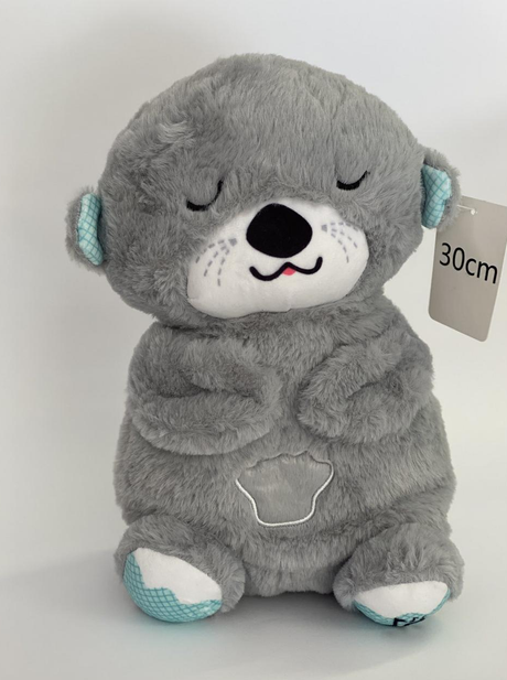 cc786679-dc42-11ef-8621-dee18ff4e8c0_1