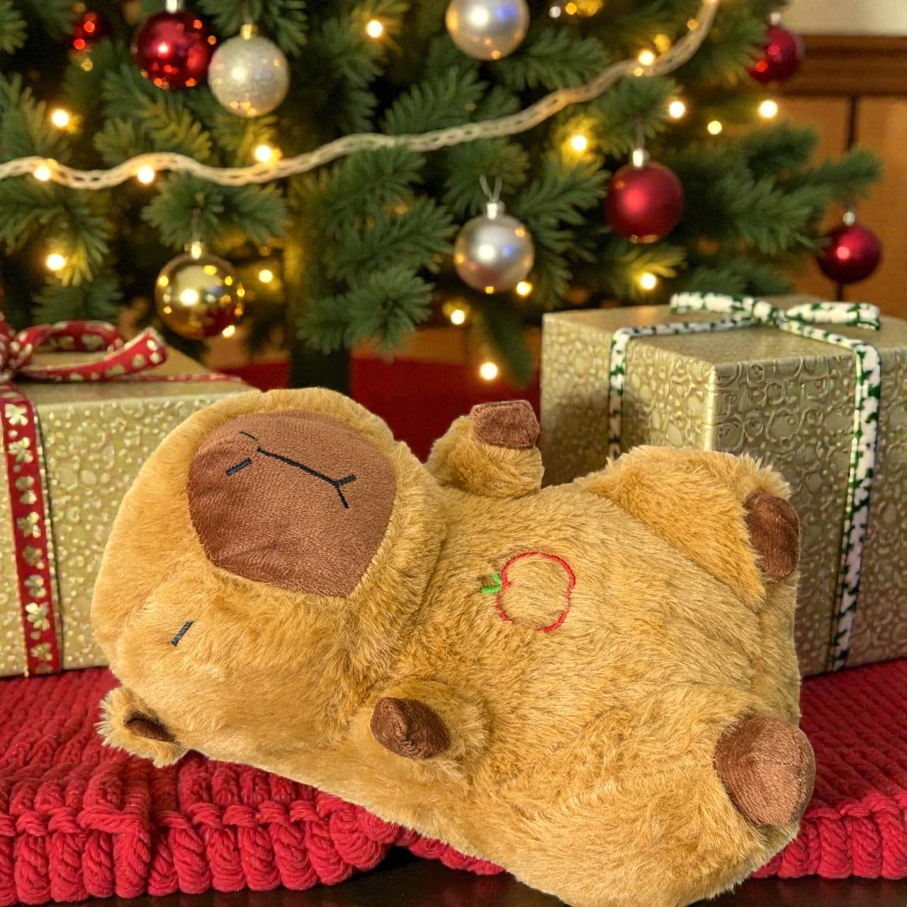 ff8108a5-d0f1-11f0-8624-dee18ff4e8c0_2