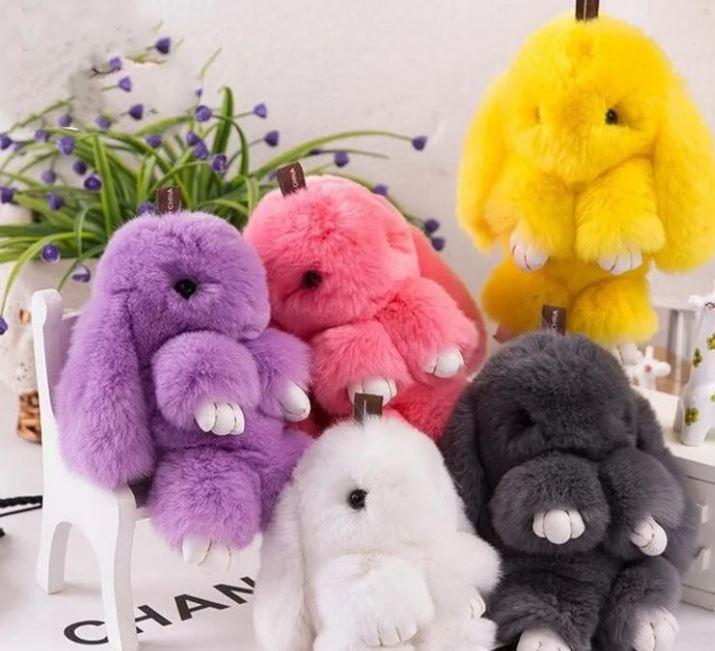 448605df-eaad-11f0-8624-dee18ff4e8c0_1