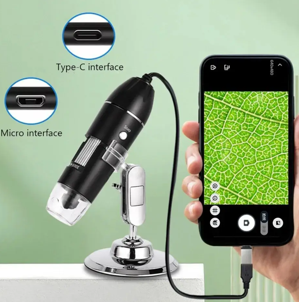 ae51fb95-c847-11f0-8624-dee18ff4e8c0_1