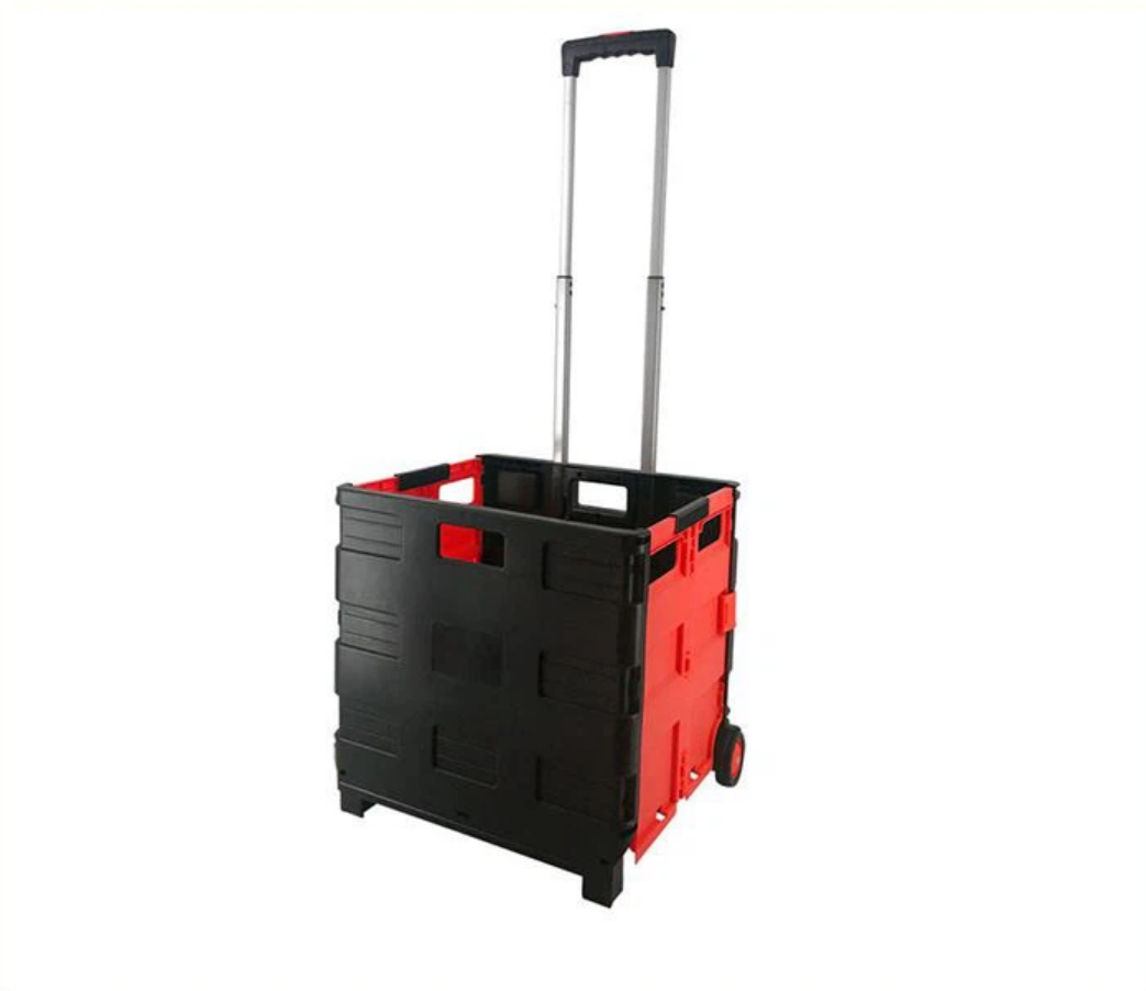 c22194d8-6e93-11ef-861f-dee18ff4e8c0_1