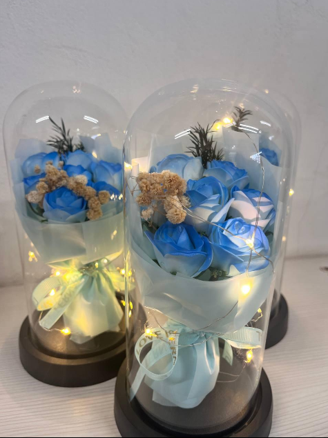 cc786695-dc42-11ef-8621-dee18ff4e8c0_1