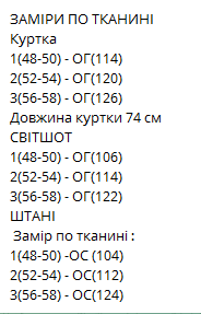 e8efb281-e52f-11ef-8621-dee18ff4e8c0_4