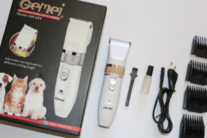 32d5fc6e-7c10-11eb-abf4-166b0be12ee5_2