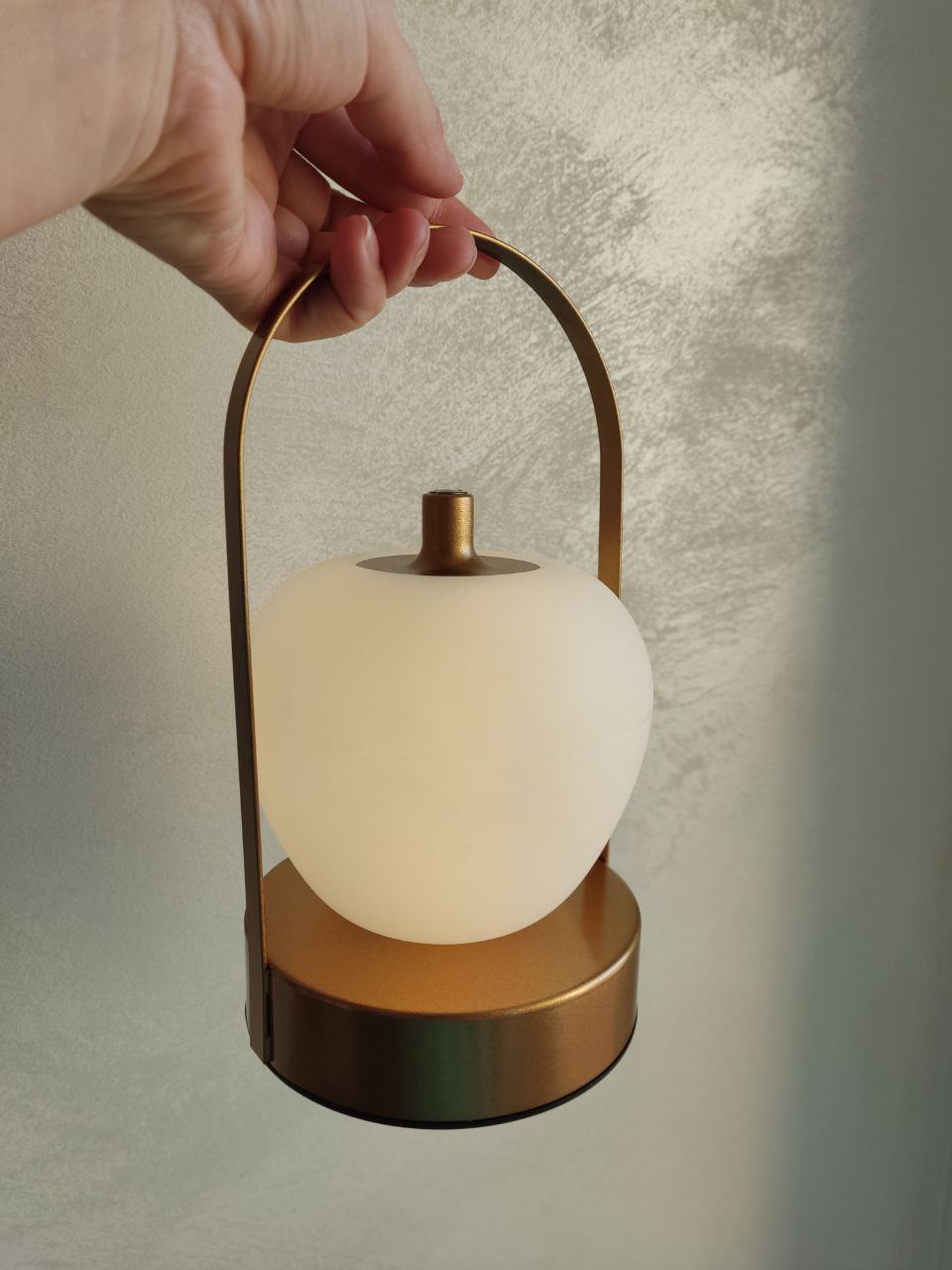 4a9597c4-664f-11ee-ad27-166b0be12ee5_1