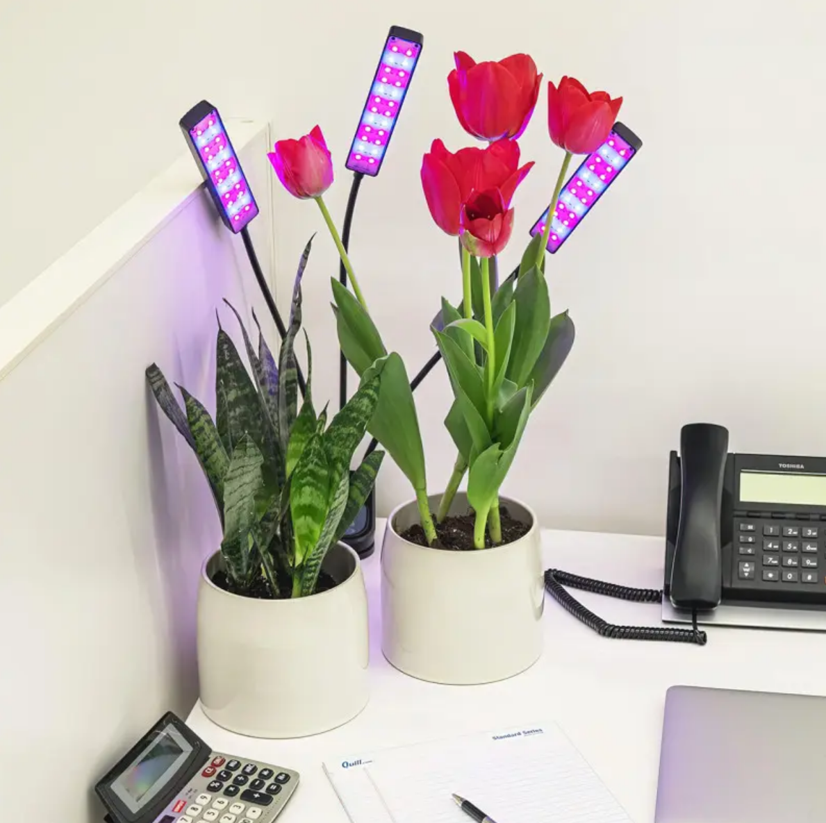 509a29b3-b854-11ee-ad48-166b0be12ee5_3