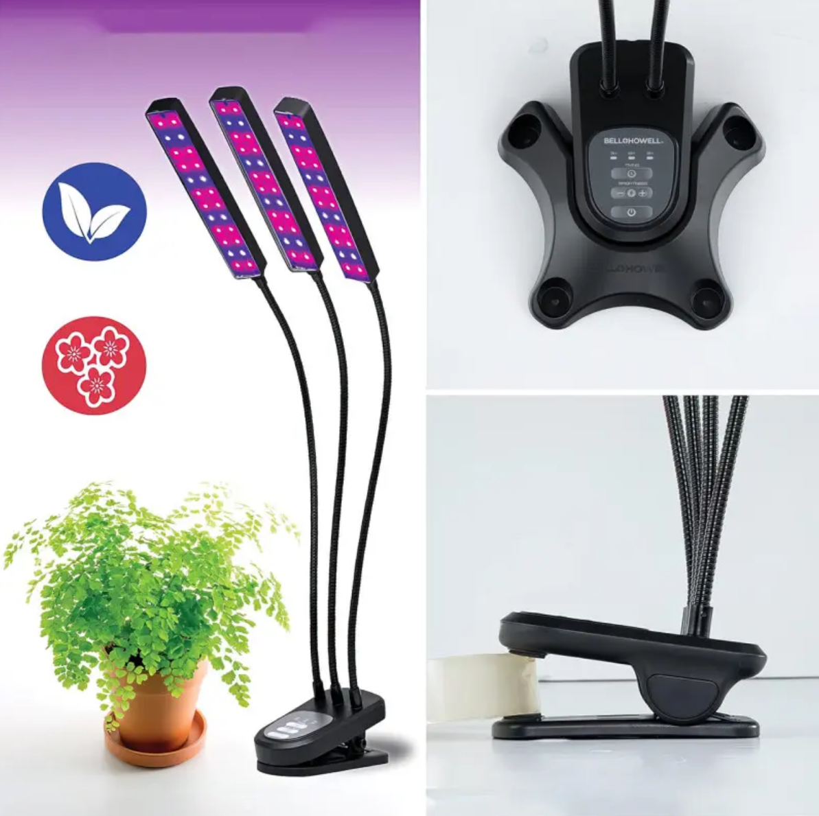 509a29b3-b854-11ee-ad48-166b0be12ee5_4