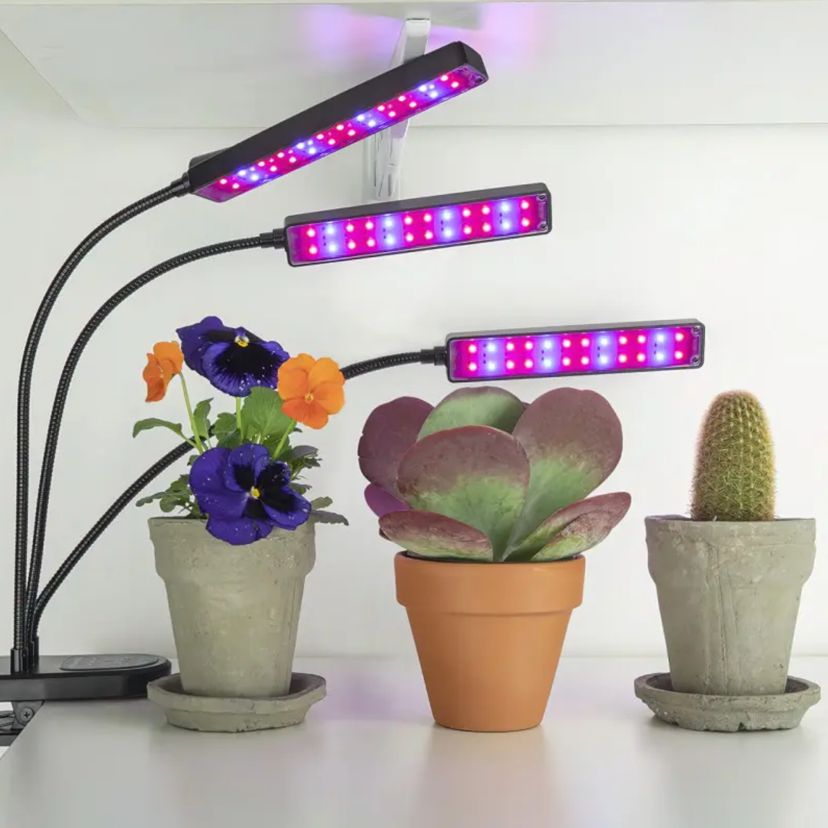 509a29b3-b854-11ee-ad48-166b0be12ee5_5