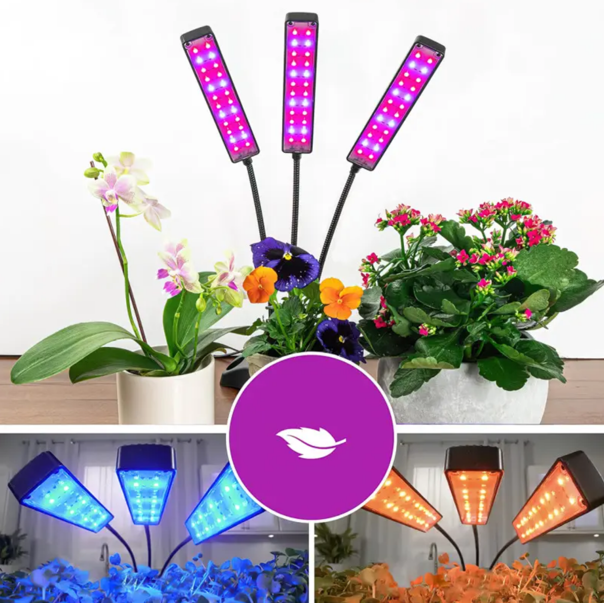 509a29b3-b854-11ee-ad48-166b0be12ee5_7