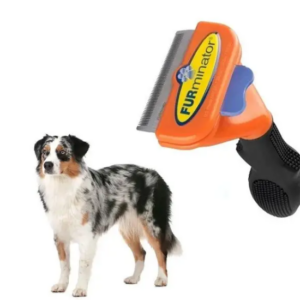 346585