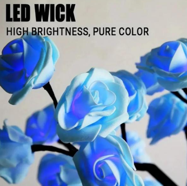 7180e23e-a45d-11ef-8620-dee18ff4e8c0_3