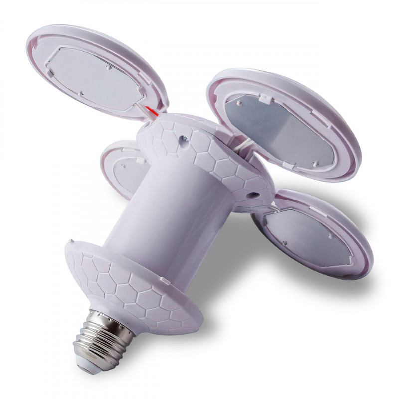 78f2006d-a3bd-11ed-ace4-166b0be12ee5_1