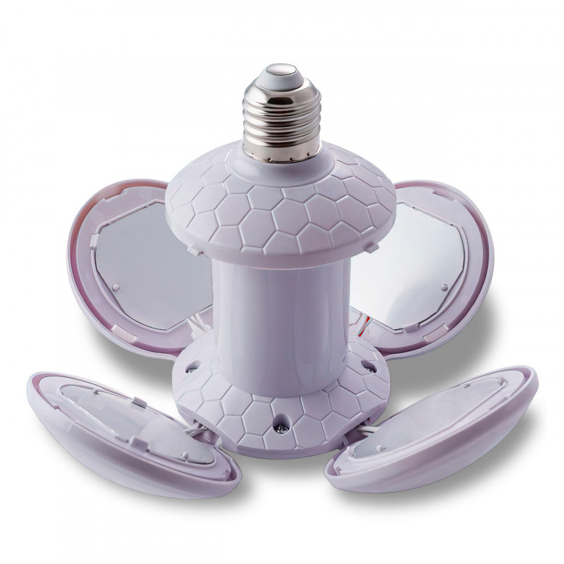 78f2006d-a3bd-11ed-ace4-166b0be12ee5_2