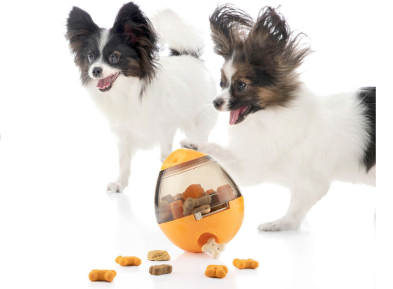 ae95131c-9177-11f0-8624-dee18ff4e8c0_2