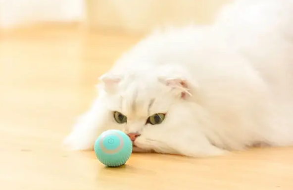 b279ad39-ba16-11ef-8621-dee18ff4e8c0_3