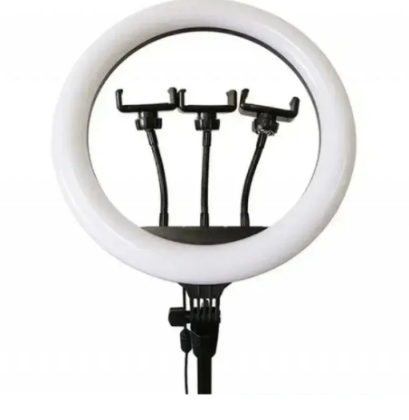 c6bfb7aa-b573-11ef-8620-dee18ff4e8c0_1