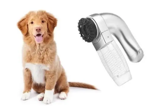 ef566a36-042f-11f0-8621-dee18ff4e8c0_1