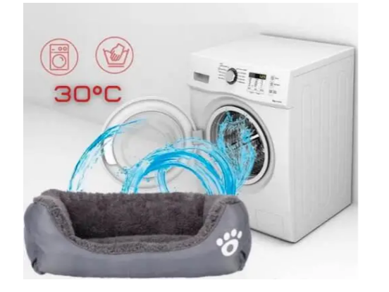 ef566a36-042f-11f0-8621-dee18ff4e8c0_2