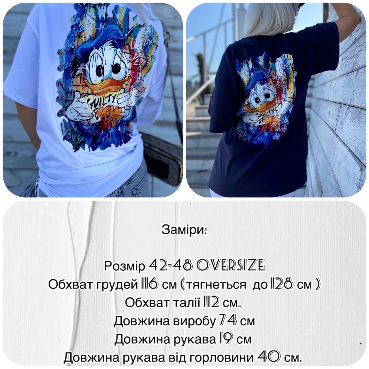 72181aa3-229e-11ef-ad8d-166b0be12ee5_2